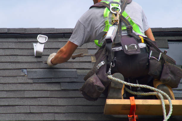 Best Gutter Installation and Roofing  in La Blanca, TX