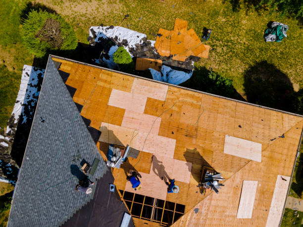 Best Roof Waterproofing Services  in La Blanca, TX