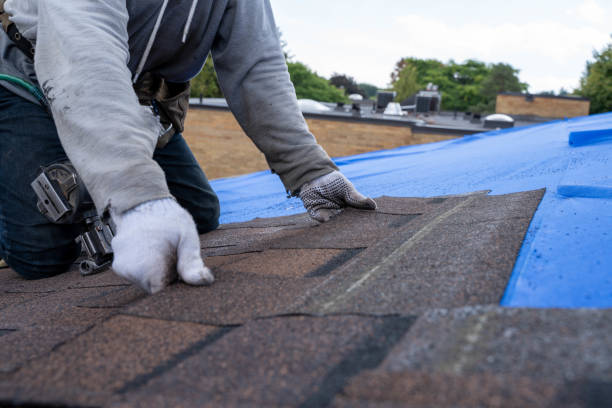 Roof Waterproofing Services in La Blanca, TX
