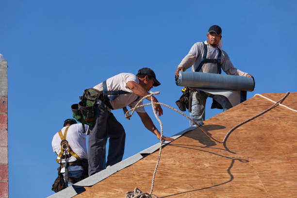 Best Flat Roof Repair Services  in La Blanca, TX