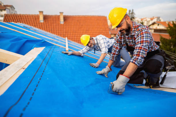 Roof Waterproofing Services in La Blanca, TX