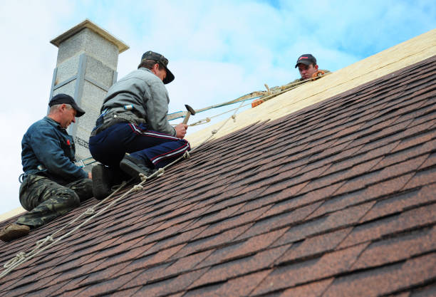 Best Best Roofing Contractors  in La Blanca, TX